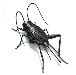Other Pests