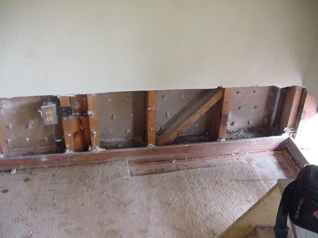 Termite Damage to Drywall