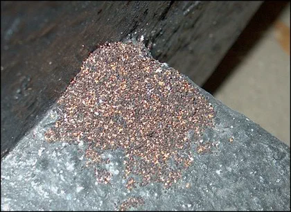 How to Identify Termite Droppings